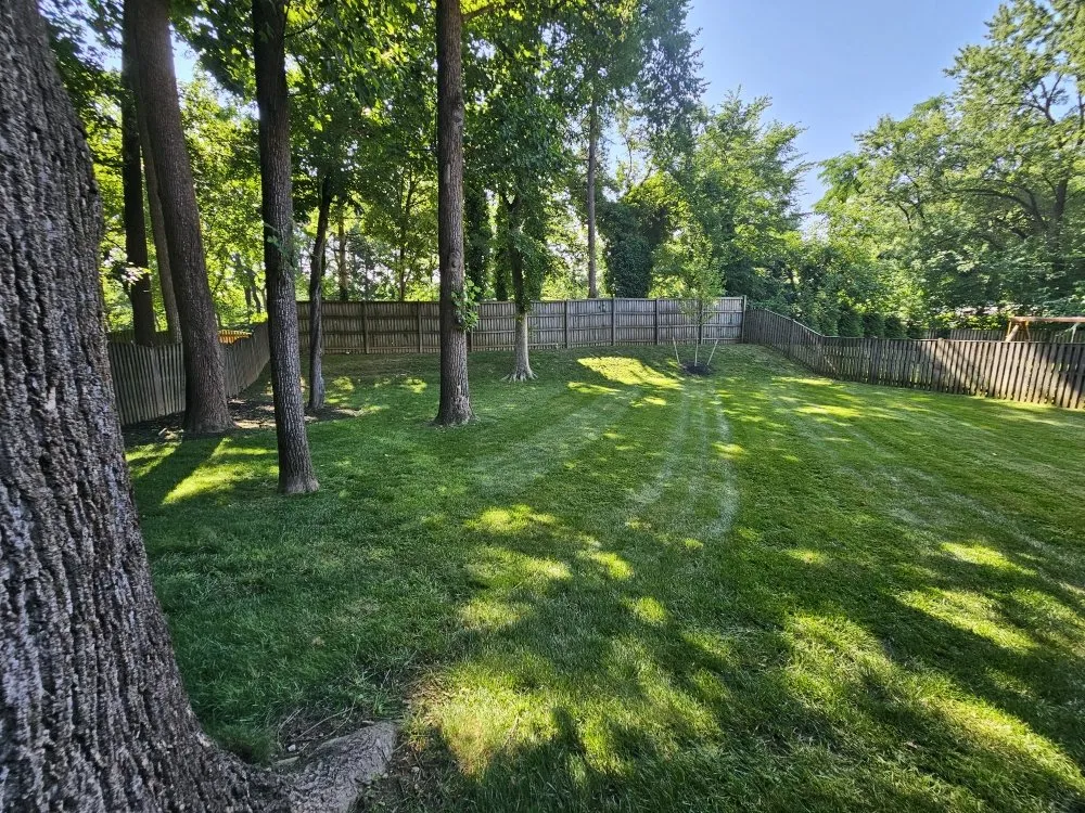 Reliable garden landscaping in Silver Spring, MD - Metallurgy Company Landscaping