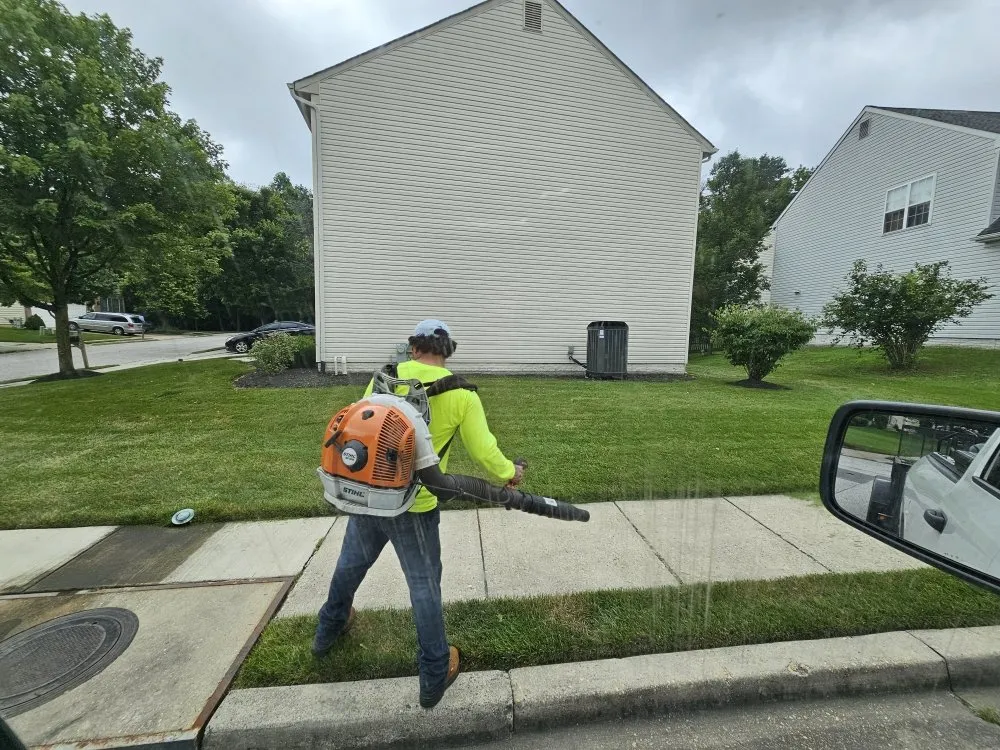 Custom yard cleanup service experts serving Silver Spring, MD - Metallurgy Company Landscaping