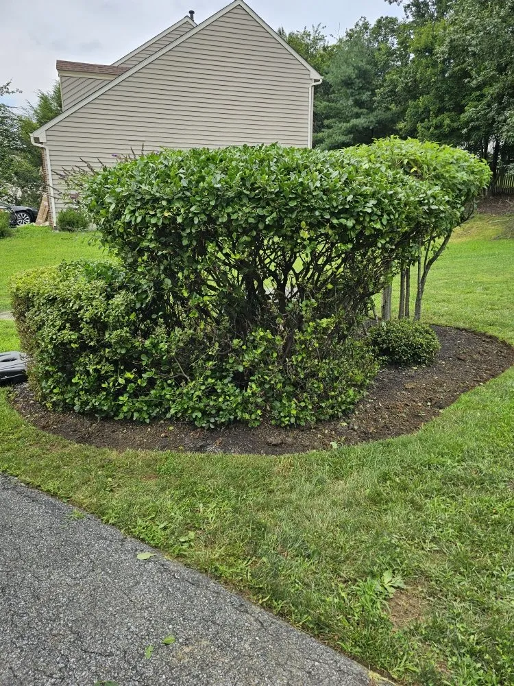 Affordable landscaping services experts serving Silver Spring, MD - Metallurgy Company Landscaping