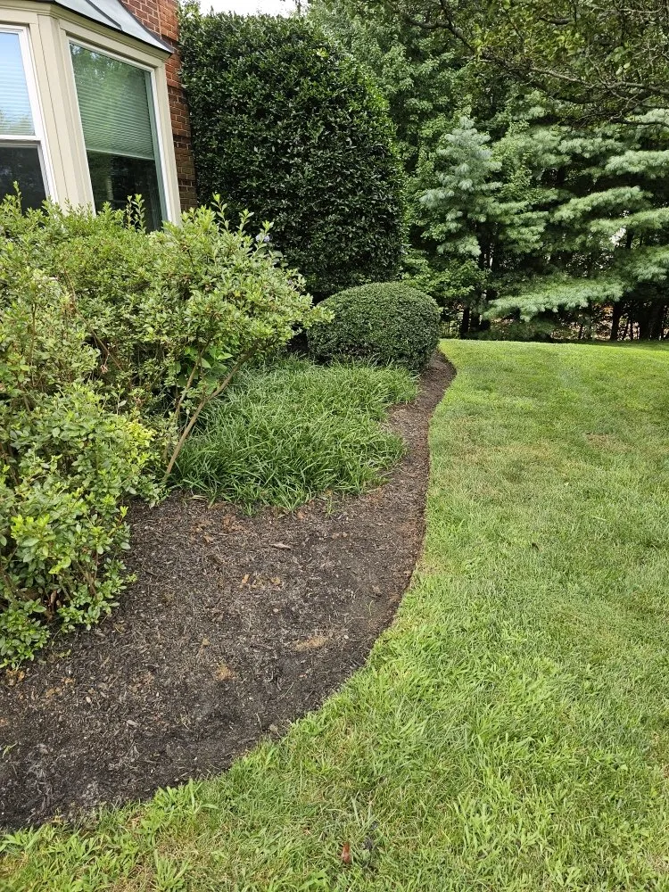 Professional outdoor landscaping near you in Silver Spring, MD by Metallurgy Company Landscaping