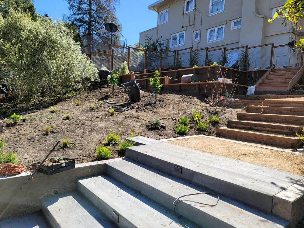 Expert landscaping services experts serving Bay Point, CA - Metamorphosis Construction