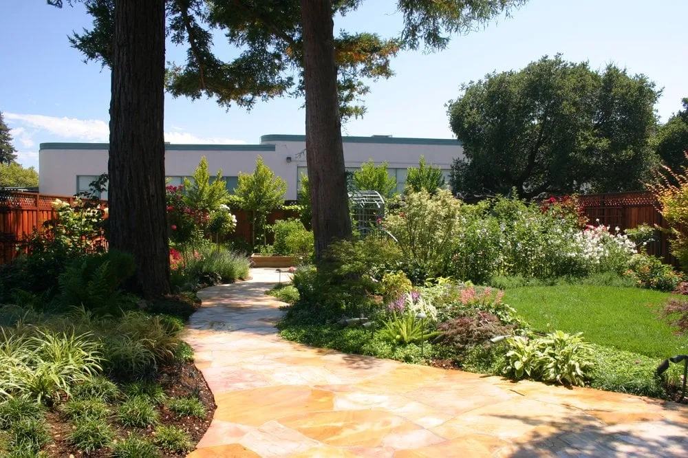Reliable landscaping services for year-round maintenance in Milbrae, CA by Metamorphosis Landscaping