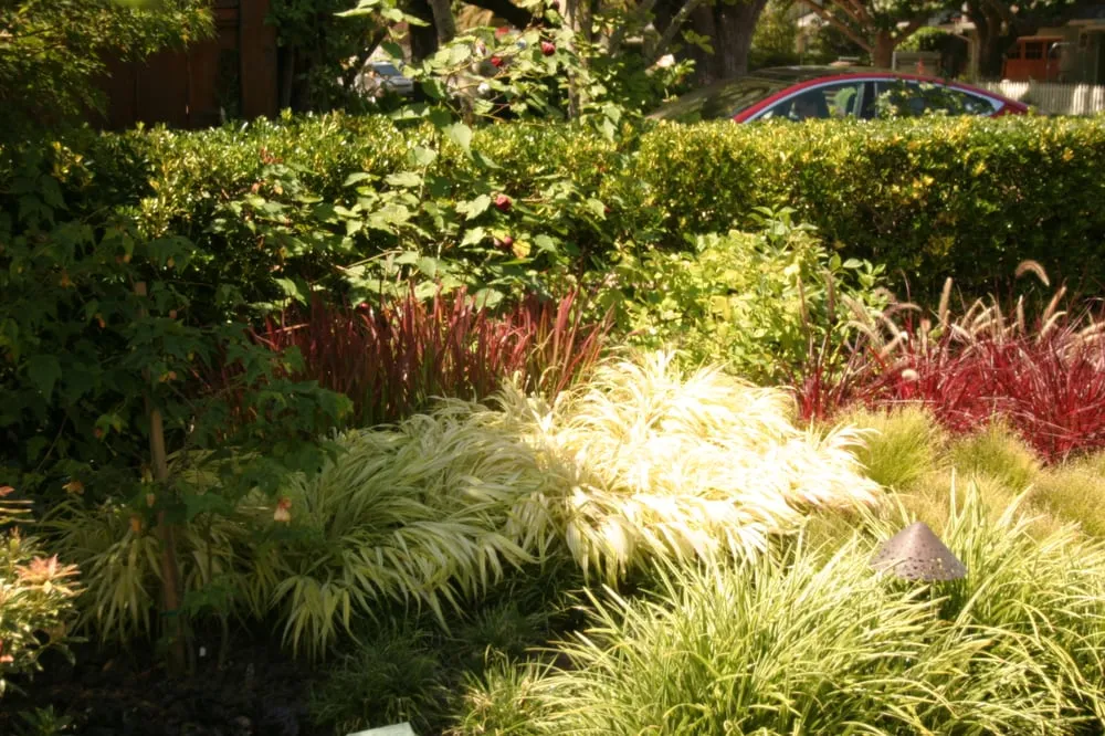 Affordable lawn mowing service near you across Milbrae, CA - Metamorphosis Landscaping