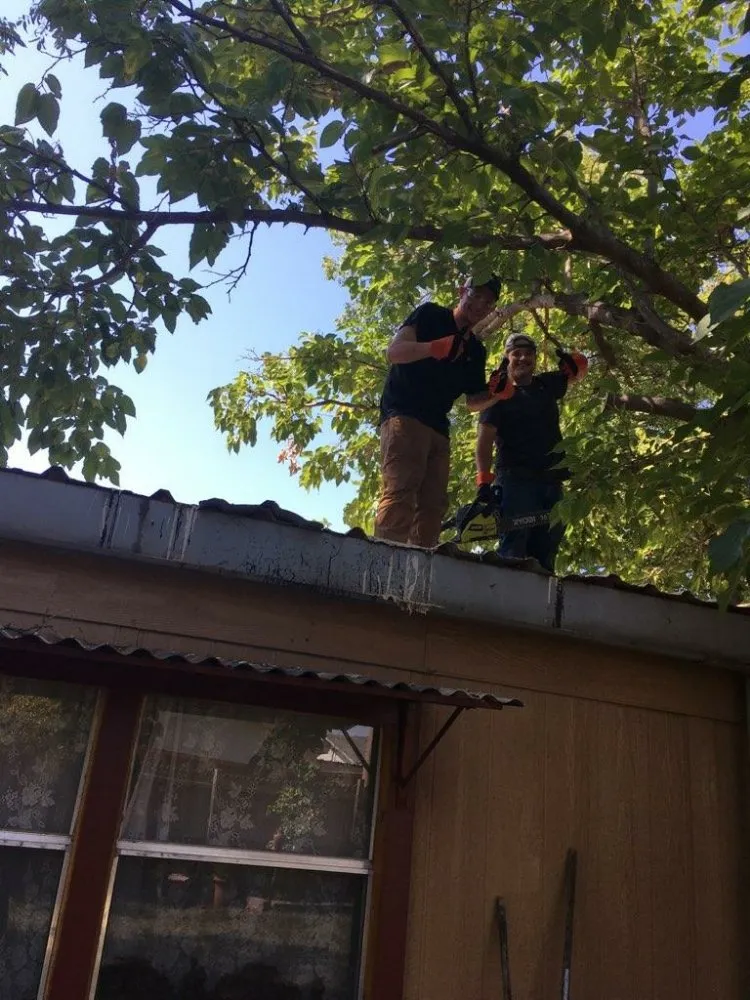 Top-rated landscape installation in Abilene, TX by Metanoia Landscaping