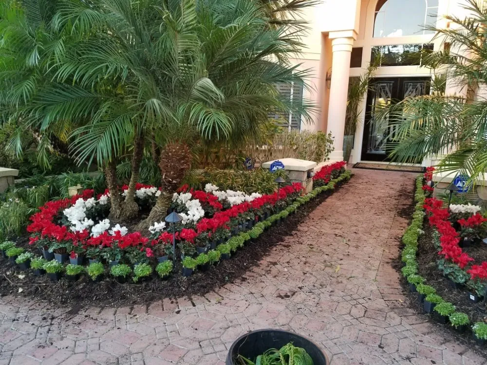 Trusted landscape design in Cleveland, TX - Metaphor Landscaping