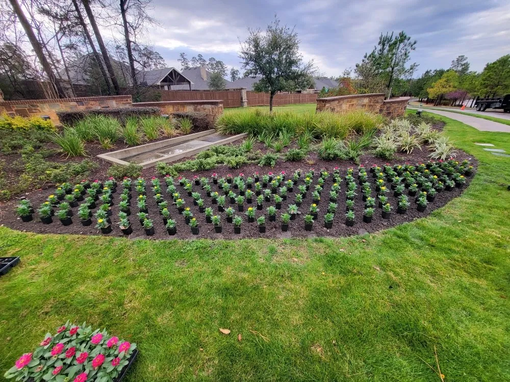 Local yard cleanup service for year-round maintenance across Cleveland, TX - Metaphor Landscaping