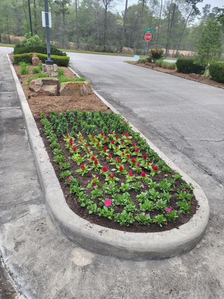 Expert lawn care service for year-round maintenance across Cleveland, TX - Metaphor Landscaping