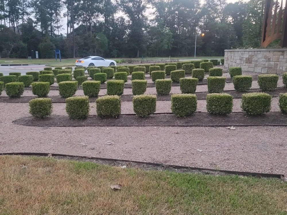 Local landscaping services for homes in Cleveland, TX by Metaphor Landscaping