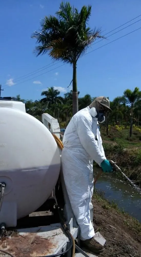 Trusted yard cleanup service in Cleveland, TX - Metaphor Landscaping