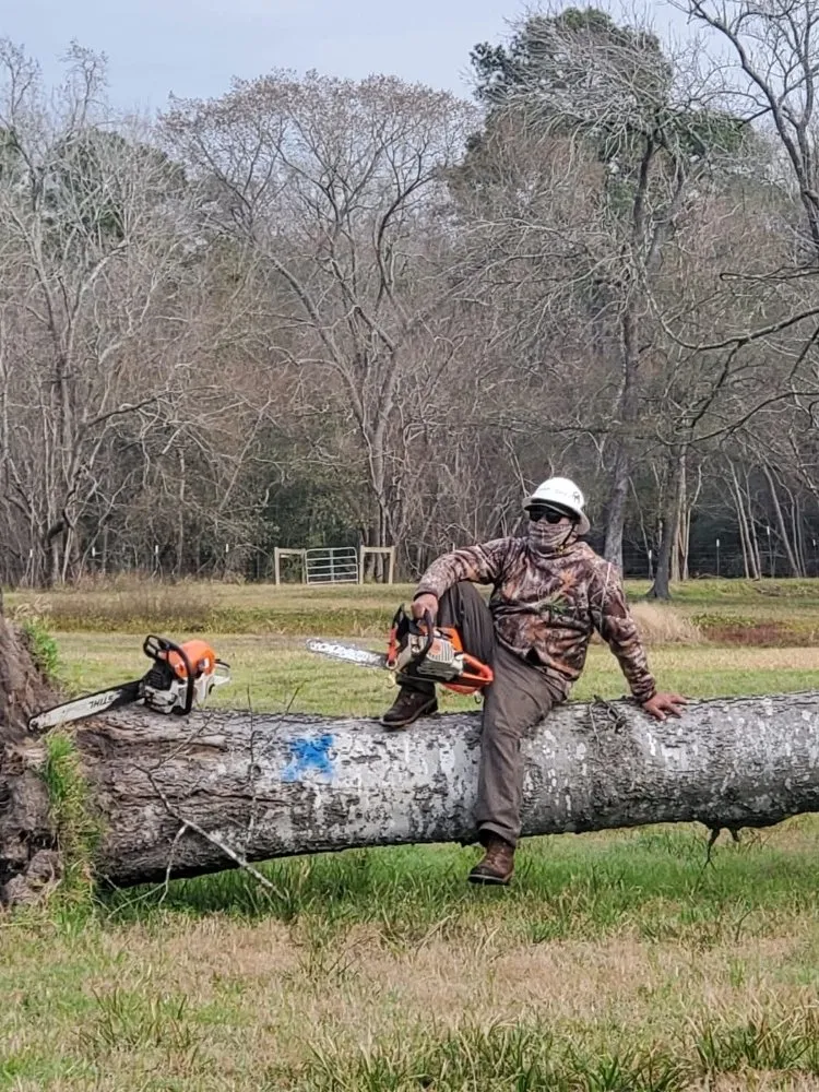 Local lawn mowing service for outdoor upgrades across Cleveland, TX - Metaphor Landscaping