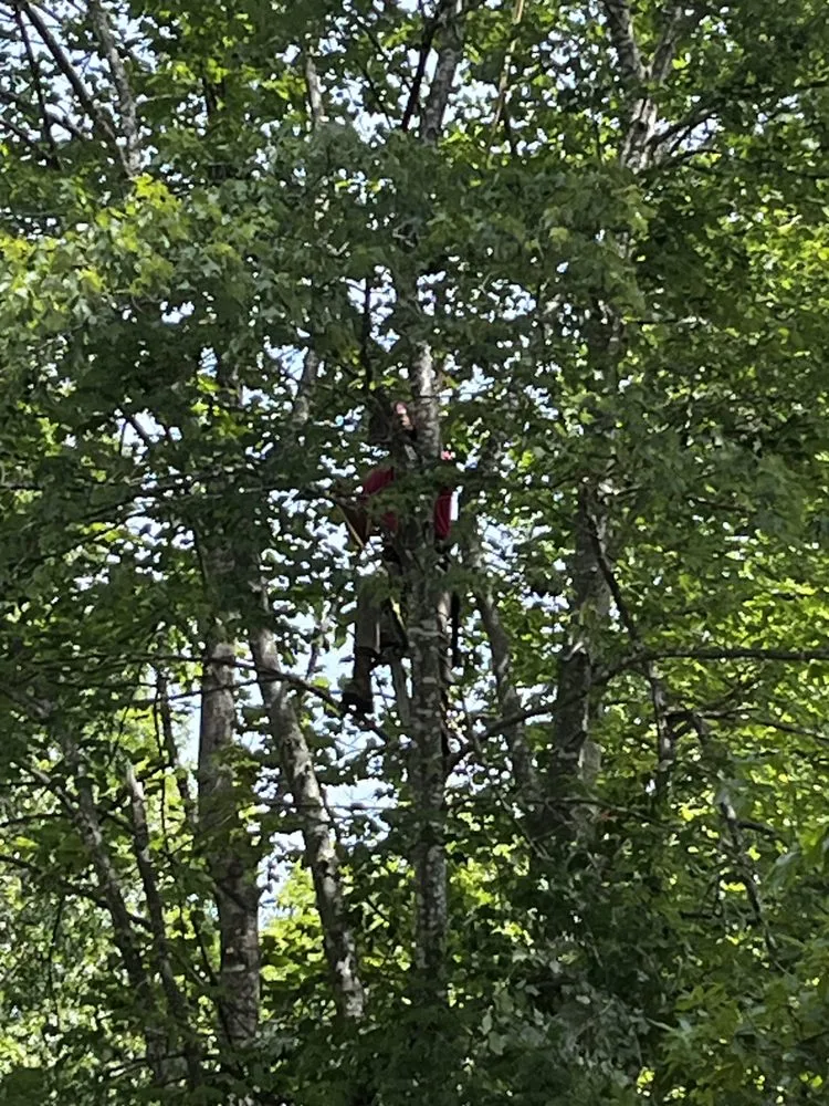 Reliable landscape design near you in Troy, VA by Metcalf Tree Service