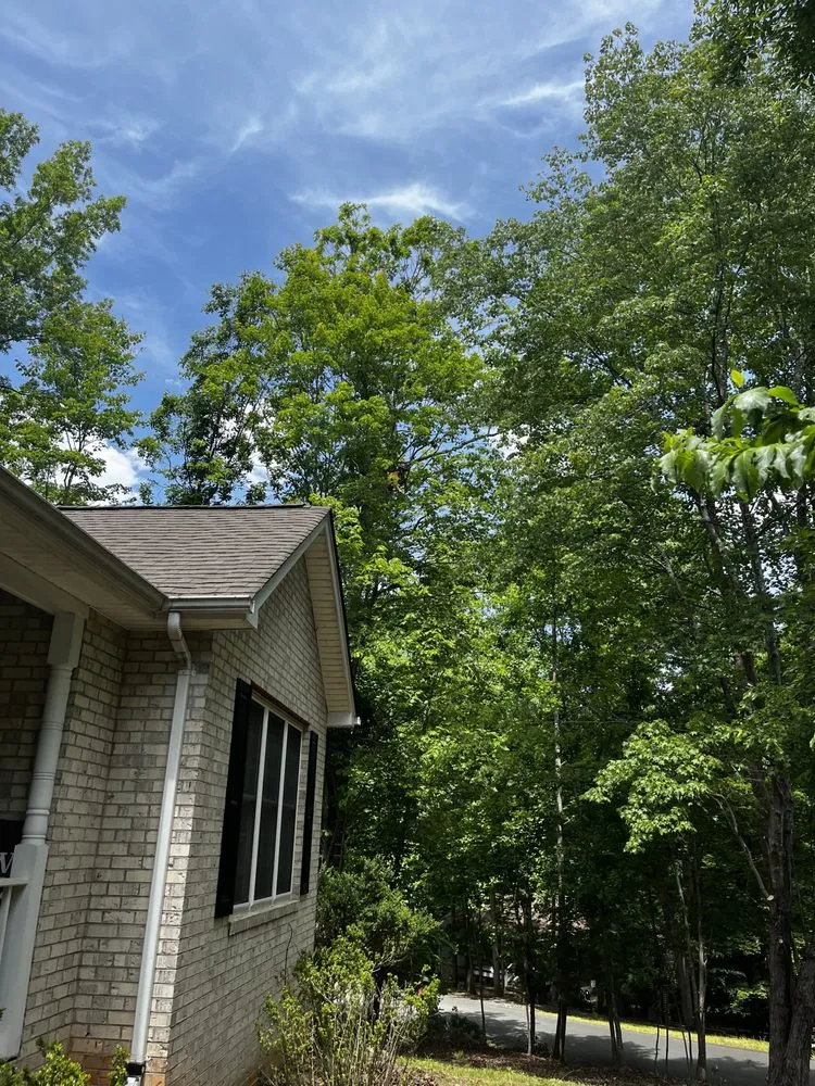 Local yard cleanup service for beautiful yards across Troy, VA - Metcalf Tree Service