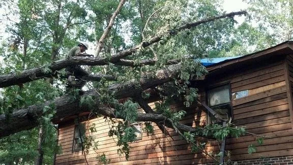 Trusted landscape design near you across Troy, VA - Metcalf Tree Service