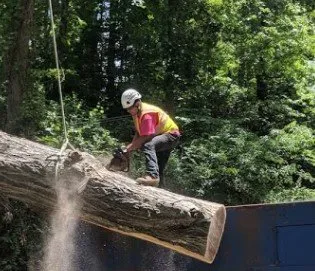 Metcalf Tree Service Logo