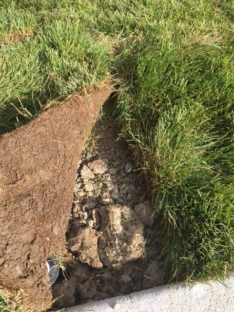 Professional yard maintenance experts serving Arvada, CO - Metco Arvada - Northwest