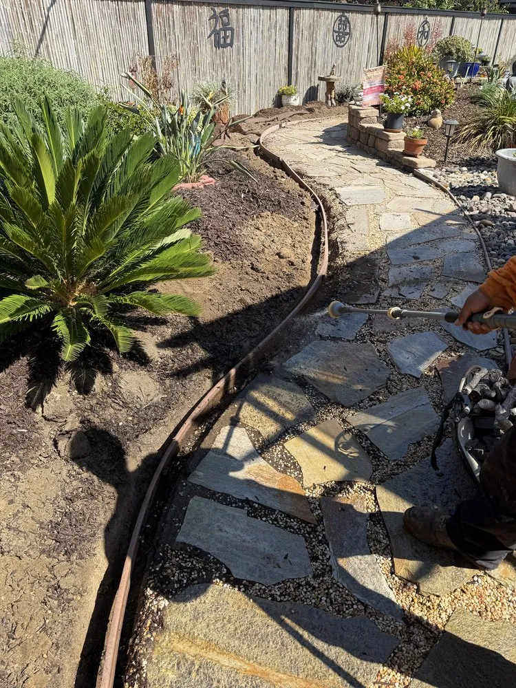 Affordable yard maintenance experts serving Encinitas, CA - Meticulous Landscape