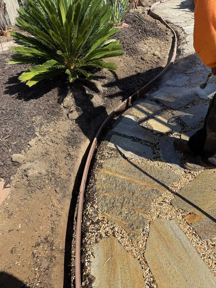 Affordable landscape installation in Encinitas, CA - Meticulous Landscape