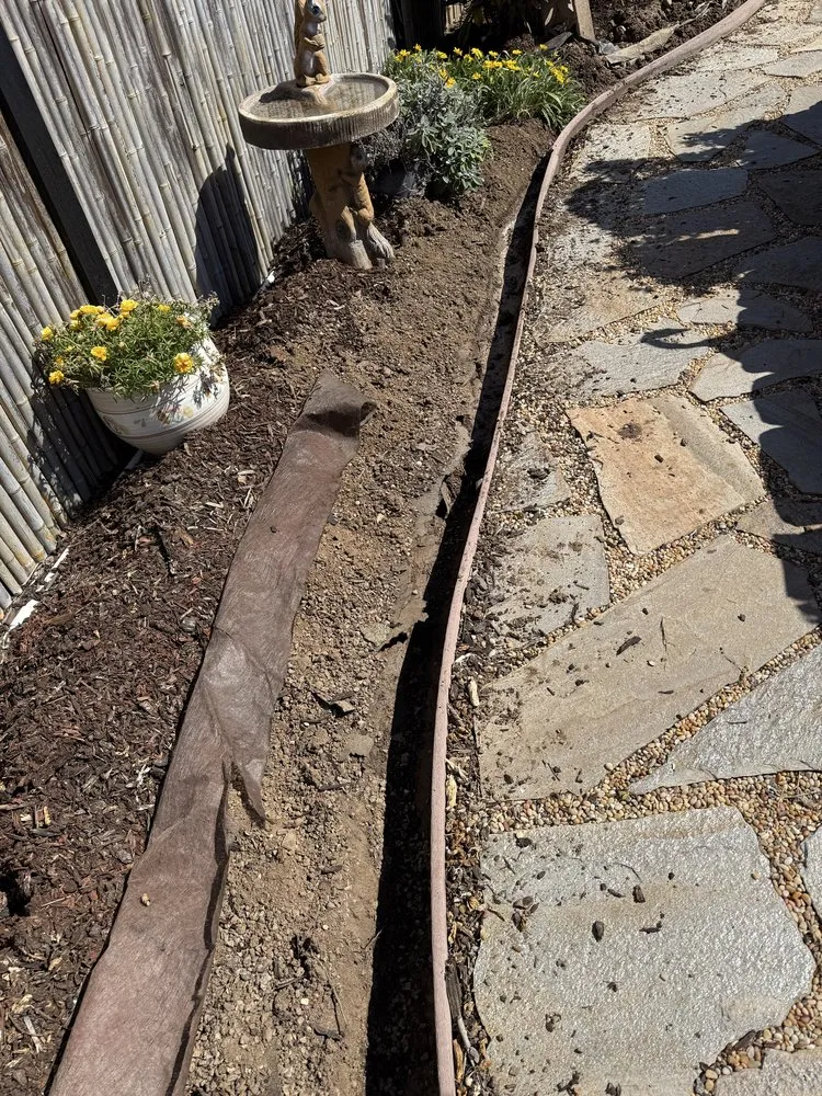 Top-rated lawn mowing service in Encinitas, CA - Meticulous Landscape