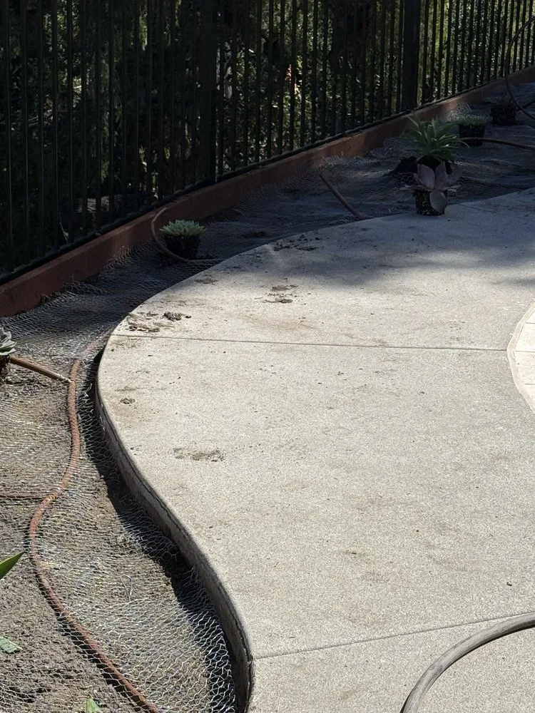 Expert yard cleanup service in Encinitas, CA by Meticulous Landscape