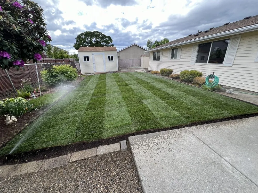 Trusted yard cleanup service experts serving Cornelius, OR - Meticulous Landscapes