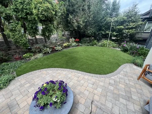 Meticulous Landscapes