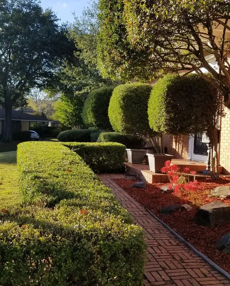 Local lawn care service in Jefferson, AR - Meticulous Landscapes