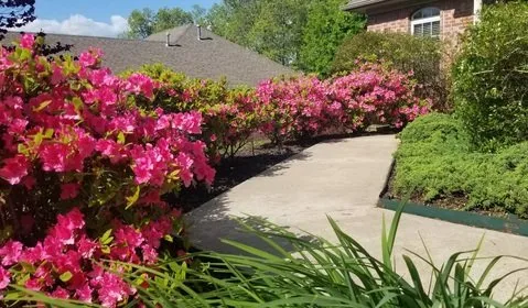 Expert lawn mowing service in Jefferson, AR - Meticulous Landscapes