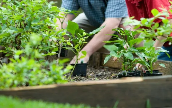 Meticulous Landscapes Logo