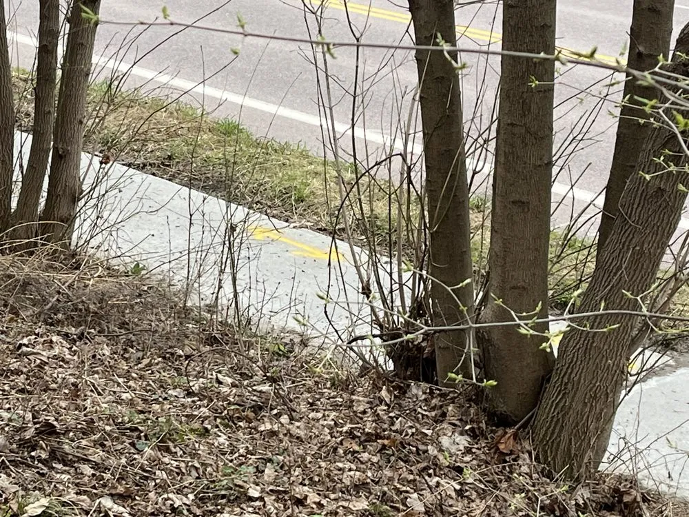 Reliable residential landscaping for residential properties across Colchester, VT - Meticulous Landscaping