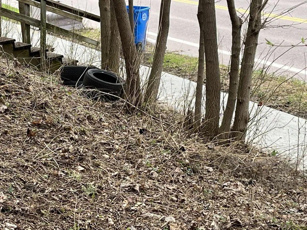 Professional yard maintenance for residential properties across Colchester, VT - Meticulous Landscaping