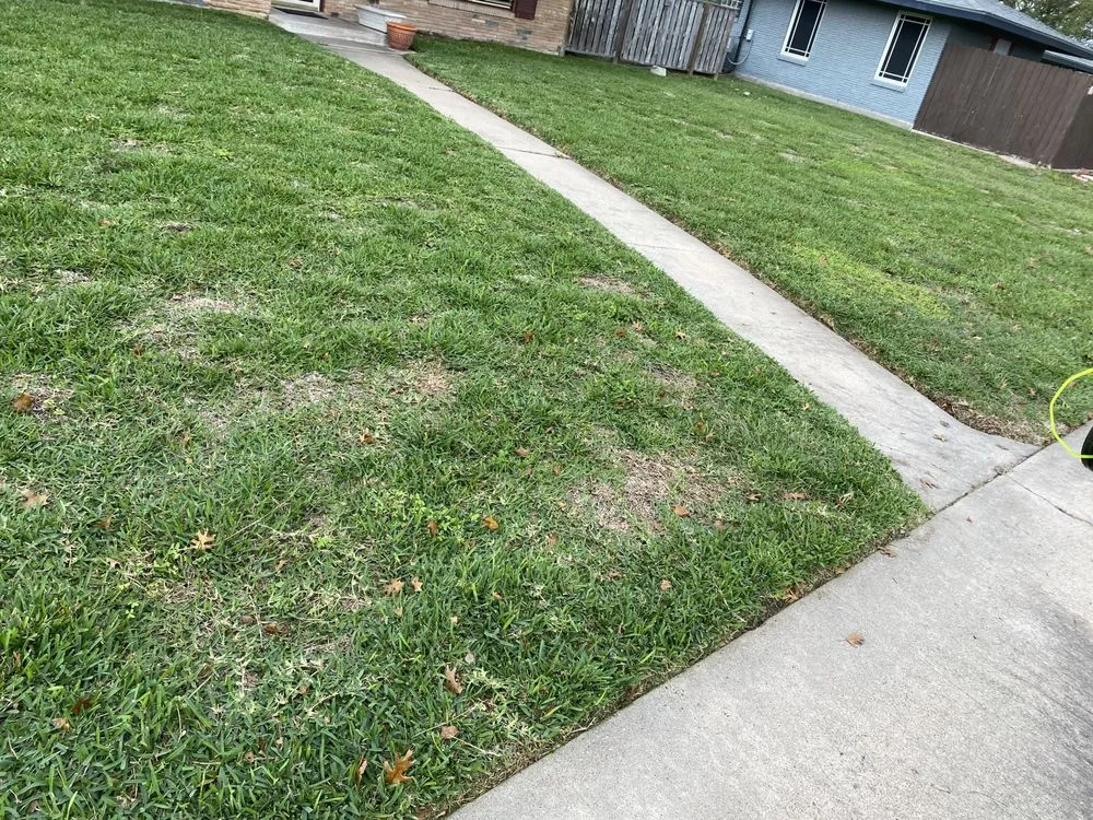 Professional landscaping services in Corpus Christi, TX - Meticulous Landscaping Pros