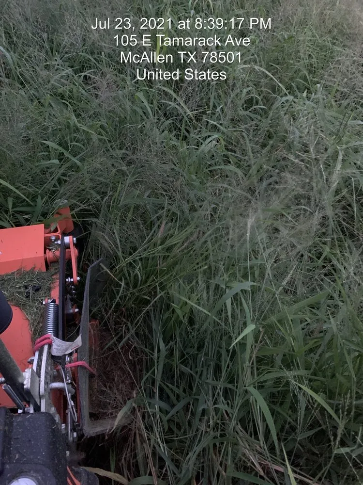 Professional yard cleanup service for residential properties across Weslaco, TX - Meticulous Lawn Care