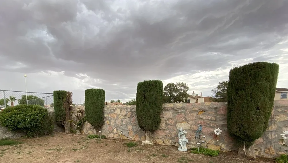 Affordable yard cleanup service in El Paso, TX - Meticulous Maintenance Yard Care