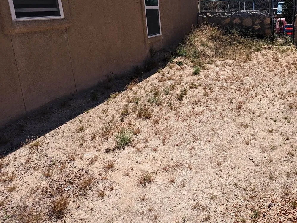 Trusted yard cleanup service in El Paso, TX by Meticulous Maintenance Yard Care