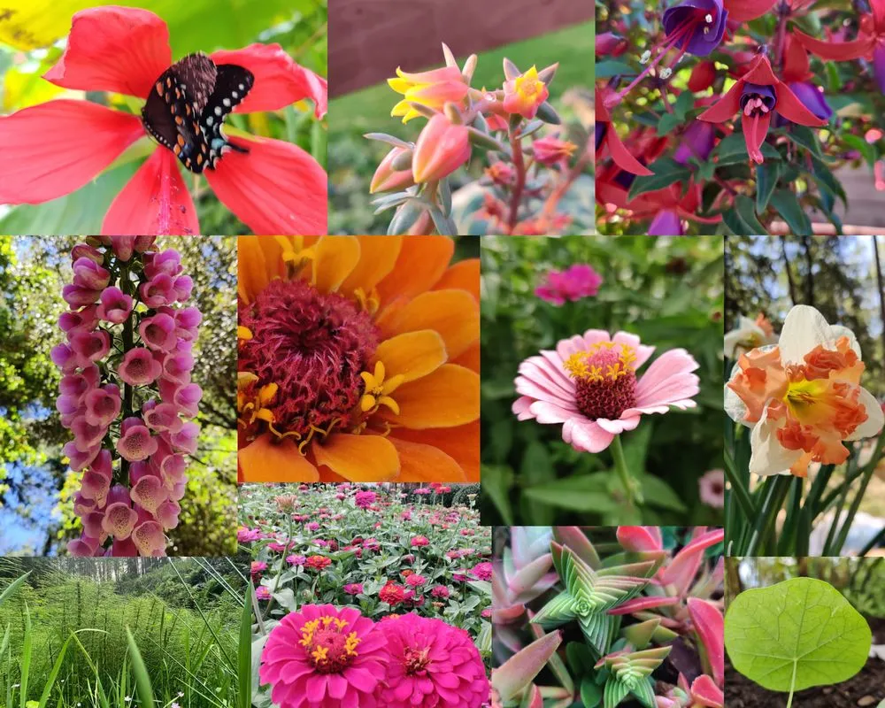 Affordable residential landscaping in Grand Forks, ND by Meticulous Mowing