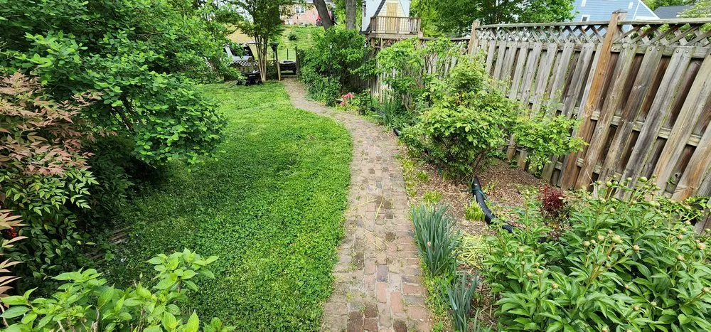 Top-rated landscaping services in Fredericksburg, VA by Meticulously Manicured Lawns