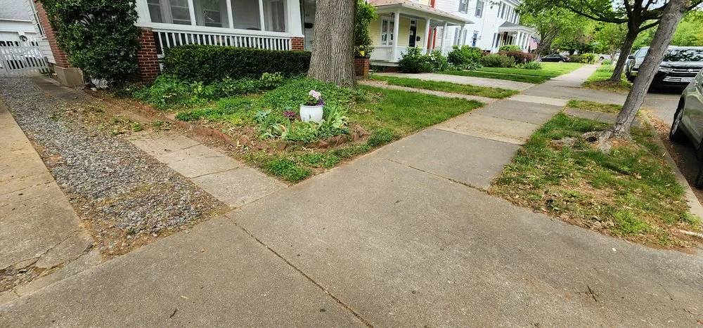 Expert lawn care service in Fredericksburg, VA by Meticulously Manicured Lawns