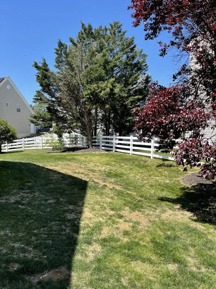 Professional lawn mowing service in Fredericksburg, VA - Meticulously Manicured Lawns