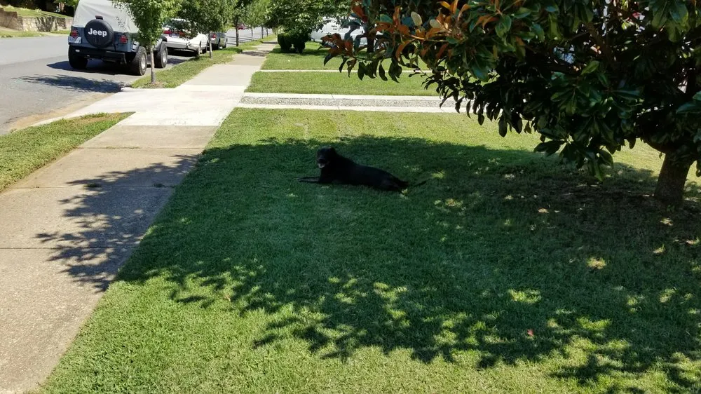 Reliable outdoor landscaping experts serving Fredericksburg, VA - Meticulously Manicured Lawns