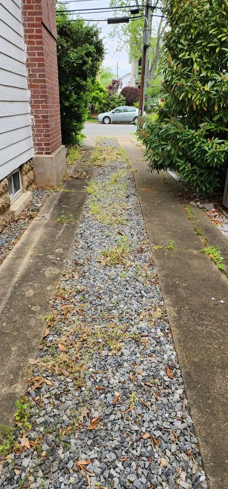 Local yard maintenance experts serving Fredericksburg, VA - Meticulously Manicured Lawns