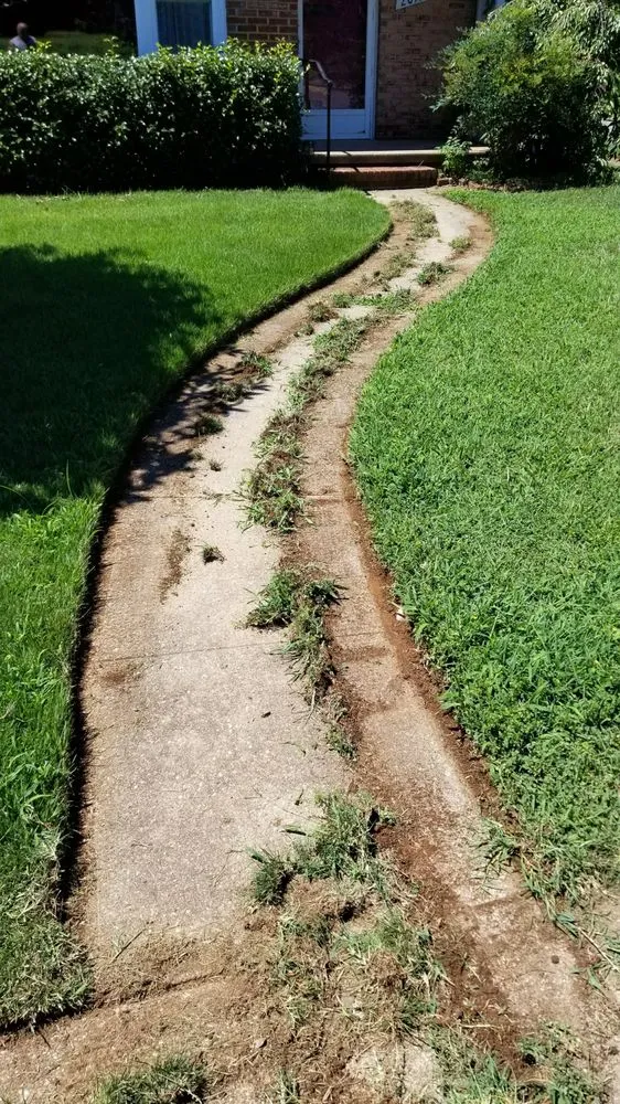 Expert lawn care service for residential properties in Fredericksburg, VA by Meticulously Manicured Lawns