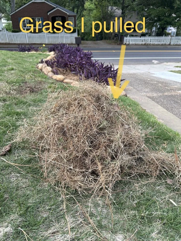 Affordable yard maintenance for residential properties in Atlanta, GA by Metro Atlanta Lawn Care