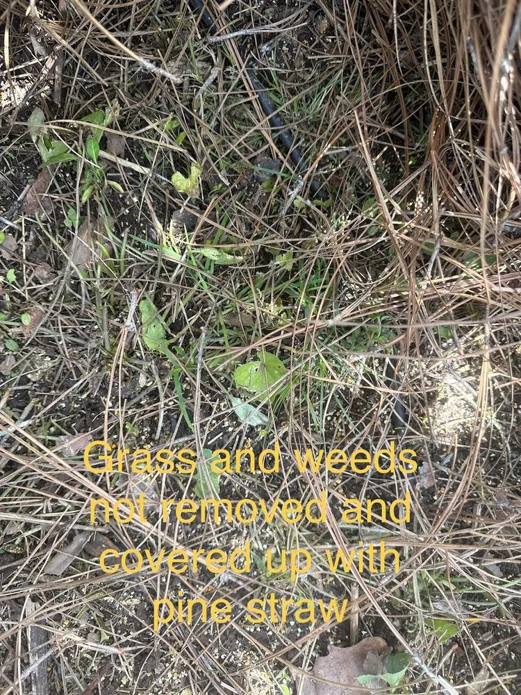 Expert residential landscaping in Atlanta, GA by Metro Atlanta Lawn Care