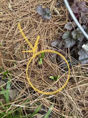 Metro Atlanta Lawn Care