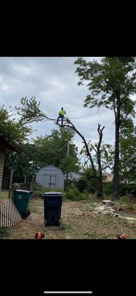 Affordable outdoor landscaping for homes in Bethany, OK by Metro Bethany Tree & Lawn Pros