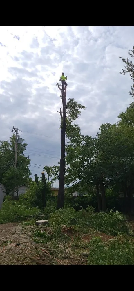 Professional landscape installation for homes in Bethany, OK by Metro Bethany Tree & Lawn Pros