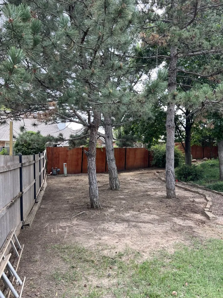 Affordable residential landscaping experts serving Bethany, OK - Metro Bethany Tree & Lawn Pros