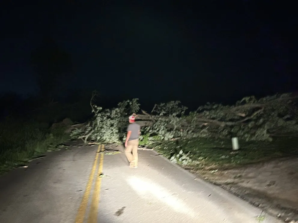 Reliable landscape installation experts serving Detroit, MI - Metro Building Solutions