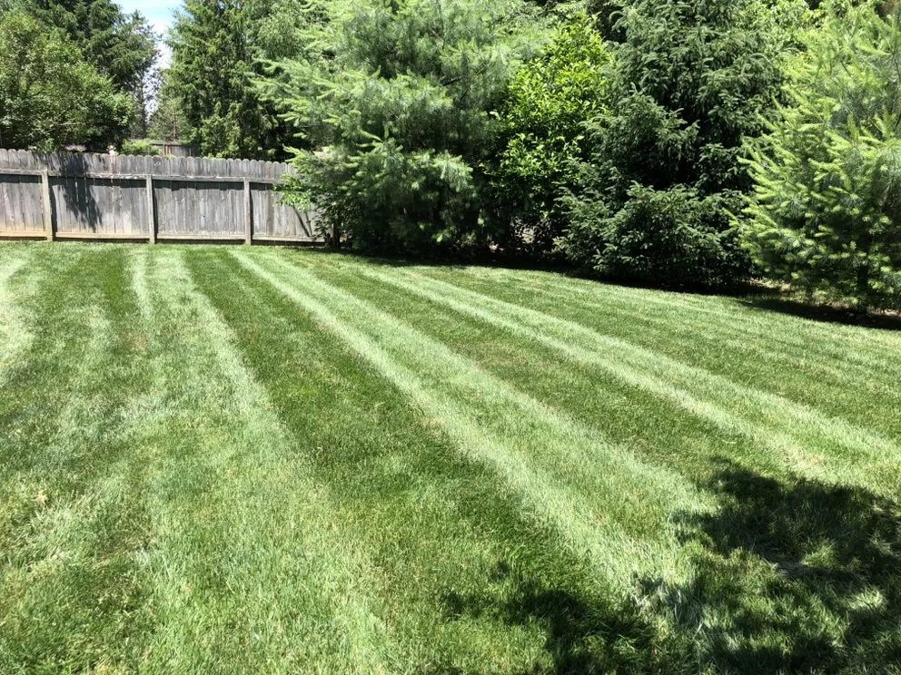 Affordable lawn mowing service in Detroit, MI - Metro Building Solutions
