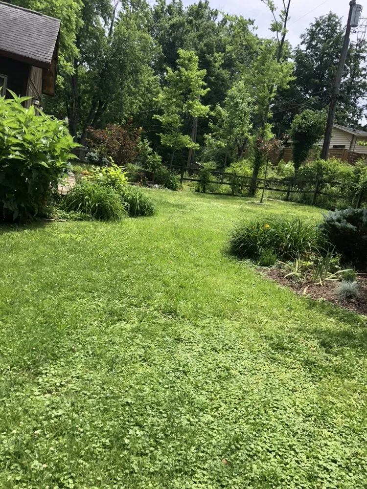 Local landscape installation in Detroit, MI by Metro Building Solutions